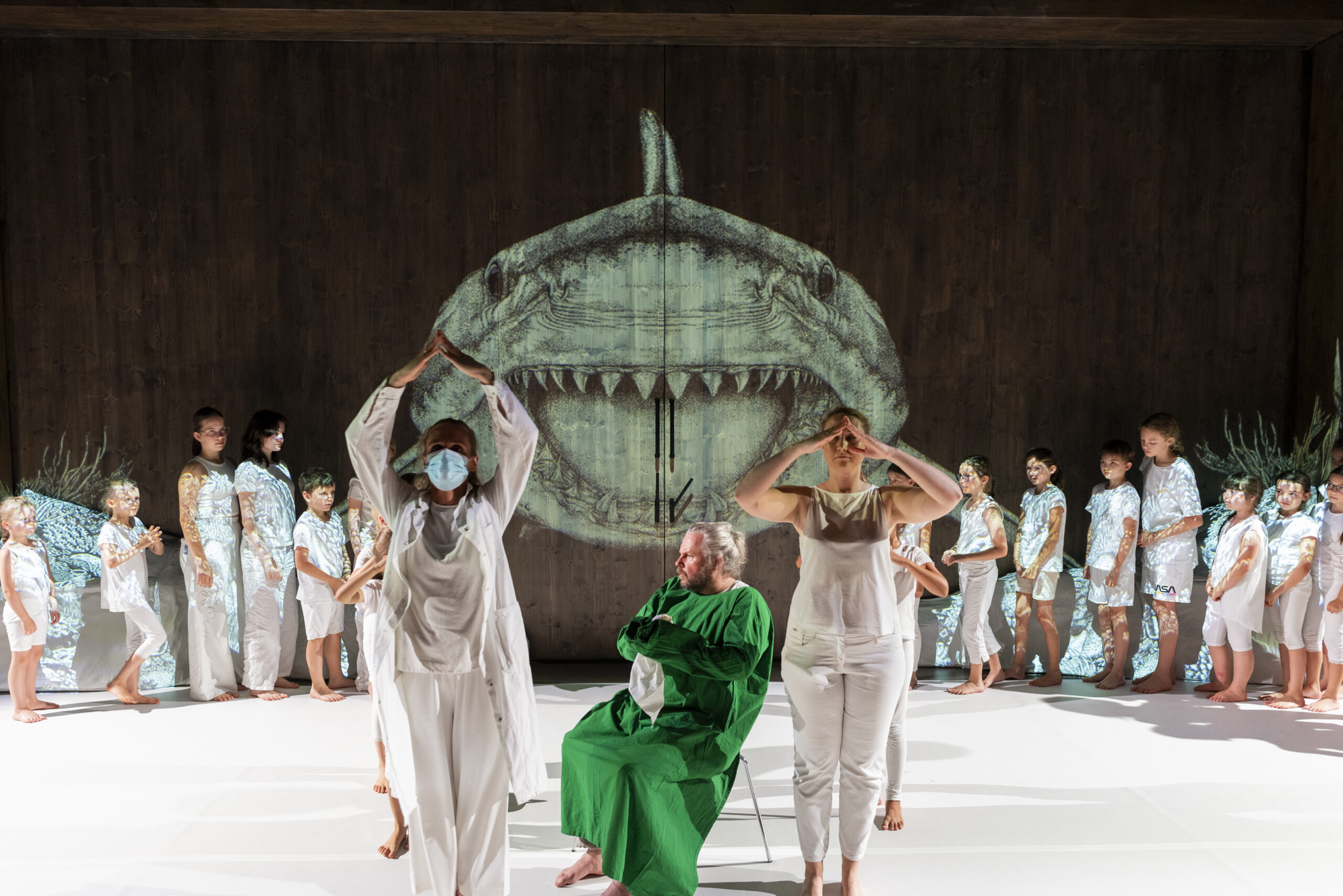 Faszination Haie, Foto: Nick Mangafas